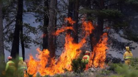 Los sindicatos alertan de que la Junta de Castilla y León "juega a la ruleta rusa" con los incendios forestales