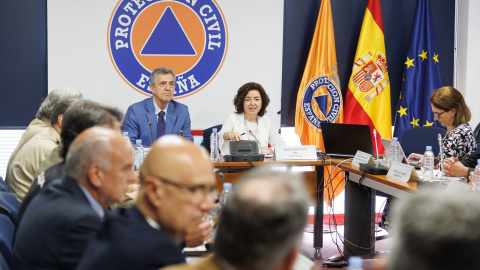 Comité Estatal de Coordinación y Dirección de Incendios Forestales, en la Dirección General de Protección Civil y Emergencias, a 28 de abril de 2023, en Madrid.