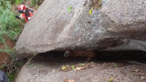 Toby, el perro rescatado en Chantada tras pasar 24 horas entre dos rocas gigantes