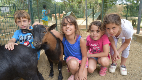 Este año 20.334 niños, niñas y jóvenes podrán volver a participar en los campamentos, colonias urbanas y centros abiertos promovidos por el programa CaixaProinfancia.