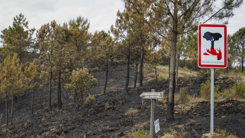 Tierra arrasada tras el incendio en la comarca cacereña de Las Hurdes, en Pinofranqueado, Cáceres, a 22 de mayo de 2023.