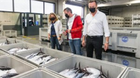 Descargados en el puerto de Laredo 58.000 kilos de bonito que se ha vendido a precios "razonables"