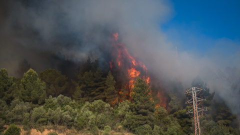 El incendio en Castellví de Rosanes y Martorell (Barcelona), el 14 de julio de 2021.