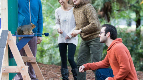 Ardilla zorro durante los experimentos realizados por los científicos en la Universidad de California. (De izquierda a derecha, Nate Hunt, Judy Jinn, Lucia Jacobs y Aaron Teixeira)