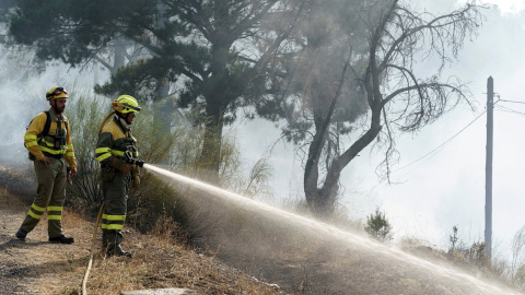 Medios aéreos y terrestres trabajando en la extinción del incendio declarado el viernes pasado en la localidad abulense de El Tiemblo