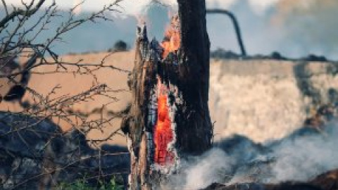 Controlado el incendio de Rafelguaraf en Valencia