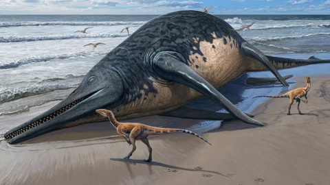 Recreación del Ichthyotitan severnensis, el reptil marino gigante encontrado en una playa británica.