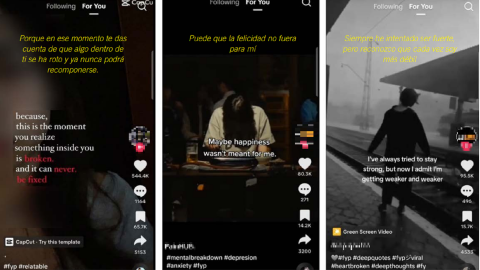 15/2/24 - Los vídeos de TikTok que fueron recomendados a las cuentas automatizadas en la primer hora de uso de la aplicación.