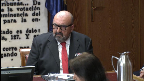 Koldo García, en su comparecencia en la comisión del Senado por la compra de mascarillas en la pandemia