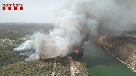 Imatge aèria del foc forestal que crema prop del riu Ebre a la Pobla de Massaluca.