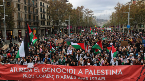 Milers de manifestants donen suport al Poble Palestí.