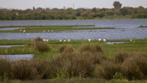 España avanza en la protección de su naturaleza con la ley en la mano