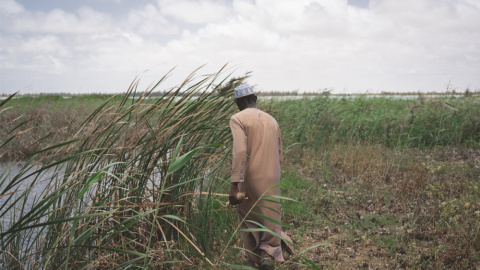 28/11/23 Ahmed Sene Diagne observa una de las balsas de recuperación de agua filtrada naturalmente que tienen canalizada para las zonas de cultivo.