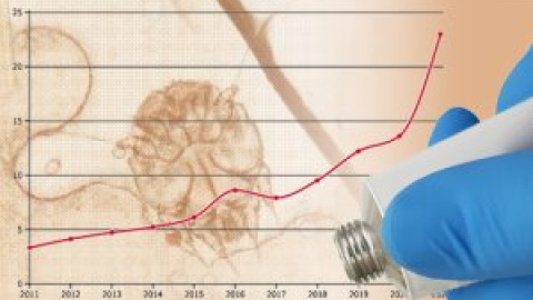 La sarna se dispara en España y los expertos no saben por qué: en 2022 se recetaron más cremas que nunca para tratarla