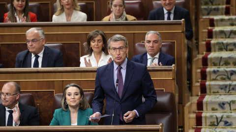 El presidente del PP, Alberto Núñez Feijóo, interviene durante una sesión de control al Gobierno, en el Congreso de los Diputados, a 24 de abril de 2024, en Madrid.