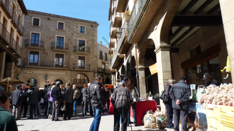 Mercat a la Plaça Major de Solsona