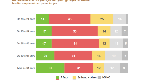 Constitució espanyola, per grups d’edat