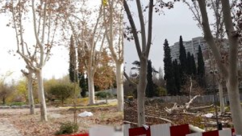 El arboricidio de Almeida y Ayuso toma forma: el antes y el después de la tala masiva en Madrid Río