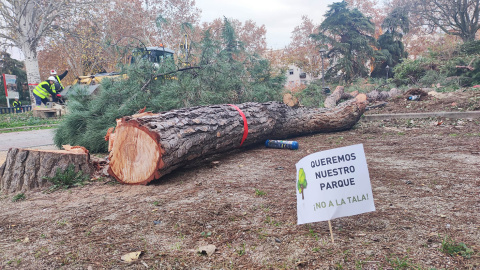 Imagen de las talas en Comillas el pasado 11 de diciembre