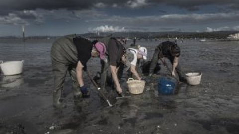 Ecologistas y mariscadoras acusan a la Xunta de "desidia" ante los episodios de contaminación en las rías gallegas