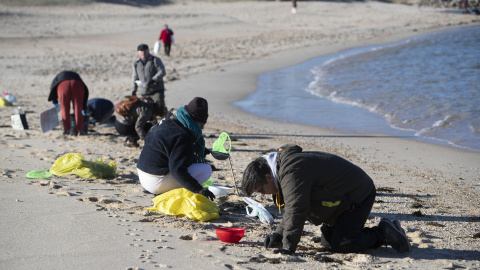 7/1/24  Voluntarios recogen microplásticos el pasado domingo en la playa de A Lanzada, en O Grove (Pontevedra).