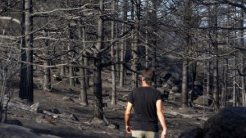 Estabilizado el incendio de Ávila, que todavía sigue activo aunque ya sin llamas