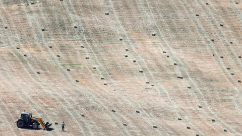 Los agricultores recogen la cosecha de heno en un campo afectado por la prolongada sequía, en Ronda, en mayo de 2023.