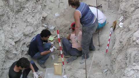 Trabajos de exhumación de las víctimas en la fosa común de Baltanás. — Asociación para la Recuperación de la Memoria Histórica