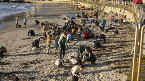 Varios voluntarios recogen pellets en la playa de Panxón, a 11 de enero de 2024, en Pontevedra.