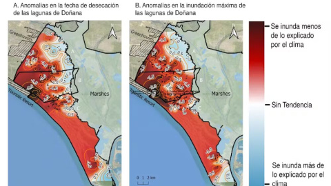 Mapa del Parque Nacional de Doñana mostrando las áreas con mayor deterioro de lagunas afectadas por anomalías distintas al clima (distancia a bombeos, extensión de cultivos, etc.). Author provided