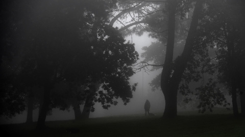 Gente pasea por el parque de la Fresneda, cubierto de una espesa niebla.