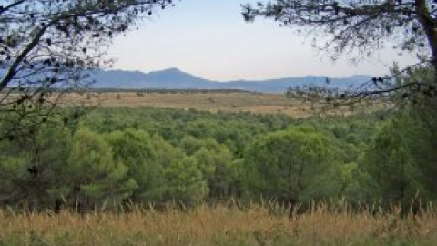 Ecologismo de emergencia - Preservar el Llano de Matagallar, el único proyecto sostenible para este tesoro natural