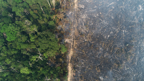 11/02/2022. Vista aérea de la quema forestal en el Amazonas.