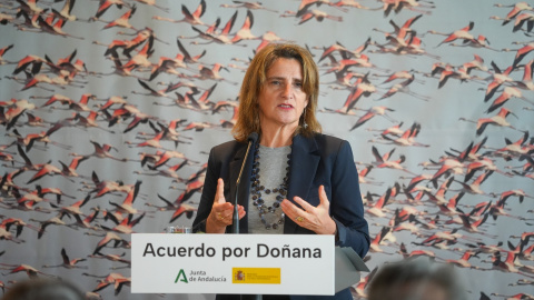 La ministra de Transición Ecológica y Reto Demográfico, Teresa Ribera, durante la rueda de prensa por el acuerdo del protocolo del Parque Nacional de Doñana, a 27 de noviembre de 2023, en Huelva.