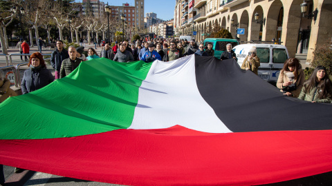 Imagen de archivo de una bandera de palestina en una manifestación de Logroño contra la ocupación de Israel.