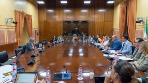 Miguel Delibes en el Parlamento andaluz, al PP sobre Doñana: "Tengan el coraje político de retirar la ley"