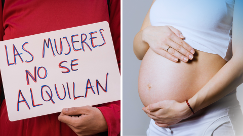 Montaje de dos fotografías: La primera, una mujer sostiene una pancarta contra los vientres de alquiler en una manifestación en Madrid en el marco de la polémica de Ana Obregón. La segunda: una imagen de Freepik de una embarazada.  OK