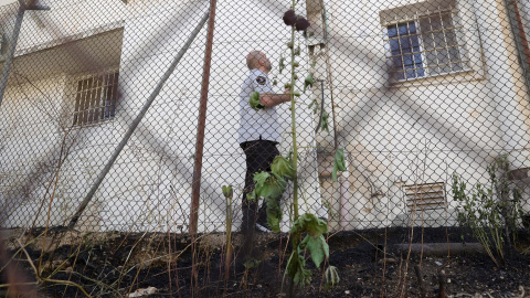 10/05/2024 Un guardia de seguridad inspecciona una zona fuera de las oficinas de la UNRWA en Jerusalén, a 10 de mayo de 2024.