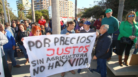 Agricultores de la Unión de Agricultores Independientes con pancartas manifestándose en Almería a 26 de febrero de 2023.