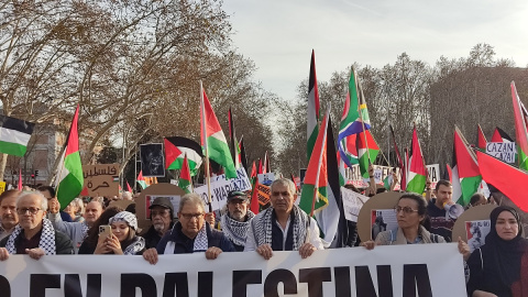 Varios manifestantes en Madrid, a 27 de enero de 2024