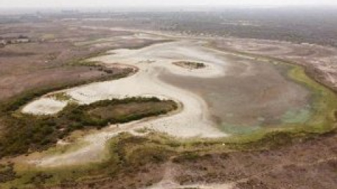 Solo 36 explotaciones se llevan más de un tercio del agua de uso legal en el entorno de Doñana