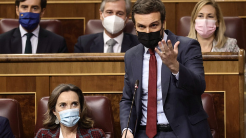 El líder del PP, Pablo Casado, interviene en una sesión plenaria en el Congreso de los Diputados, a 16 de febrero de 2022, en Madrid.