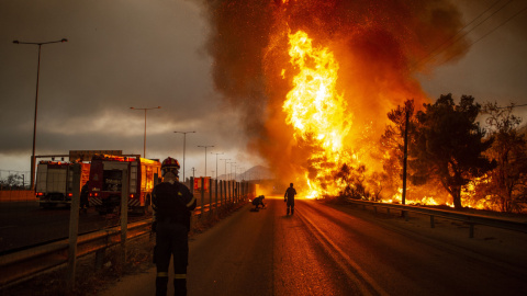 Grecia, Afidnes: los bomberos luchan contra un incendio forestal en una zona boscosa al norte de Atenas.