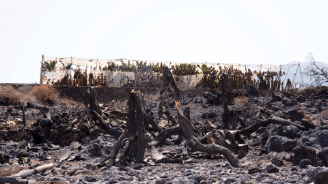 19/08/2021 Incendio La Palma