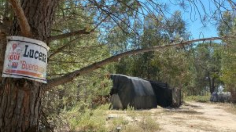 La muerte de Asís, un temporero invisible entre las eternas chabolas de Huelva