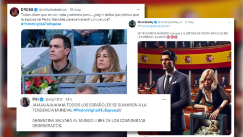 Capturas de pantalla de algunos de los tuits publicados por los 'trolls' de Javier Milei.