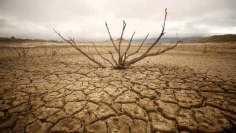 Ciudad del Cabo, el reto de vivir sin agua que pone cara al cambio climático