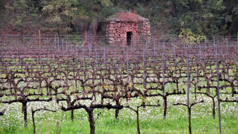 Barraca pedra seca, Santa Maria de Horta de Avinyó, El Bages