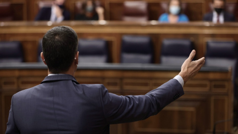 El presidente del Gobierno, Pedro Sánchez, interviene en la sesión de control en el Congreso de los Diputados. E.P./Eduardo Parra