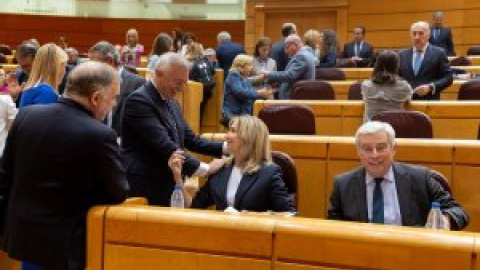 El PP veta la amnistía en el Senado: estos son los siguientes pasos para la aprobación de la ley